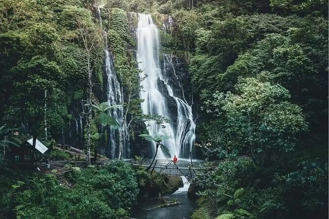 Bali Private Tour: Handara Iconic Gate, Watefall and Temple - Guides make-or-break the experience: Natha, Wayan, Dani, and Dewa