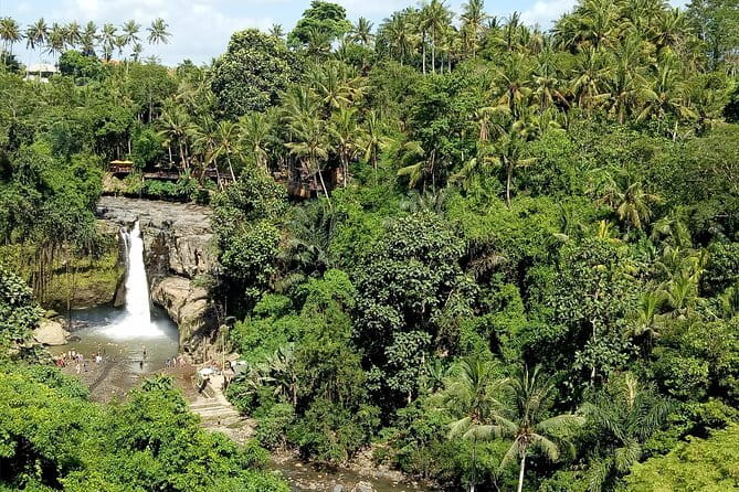 Bali Private Tour: Waterfall, Monkey forest and Tanah lot sunset - Price and value: what $56 actually buys you