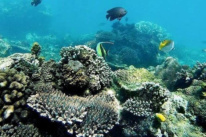 Bali Private Tour: Waterfall, Monkey forest and Tanah lot sunset - Who should book this private Bali sunset tour