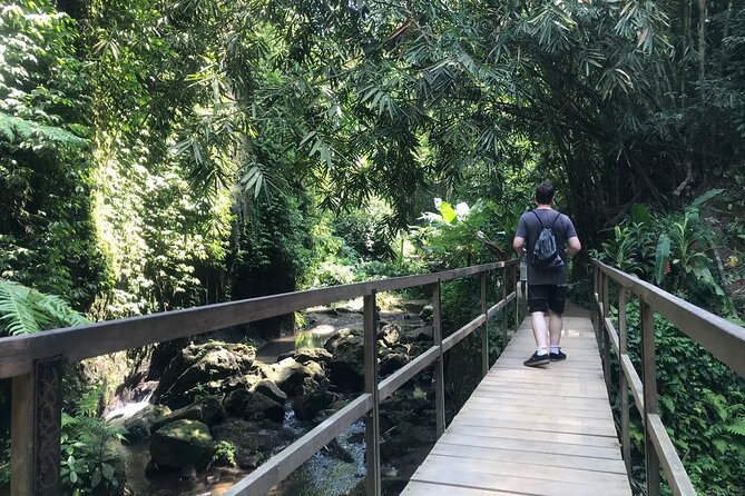 Bali Quad Adventure with Waterfall Tour - Waterfall Stop 2: Tibumana and the Jungle Walk Down