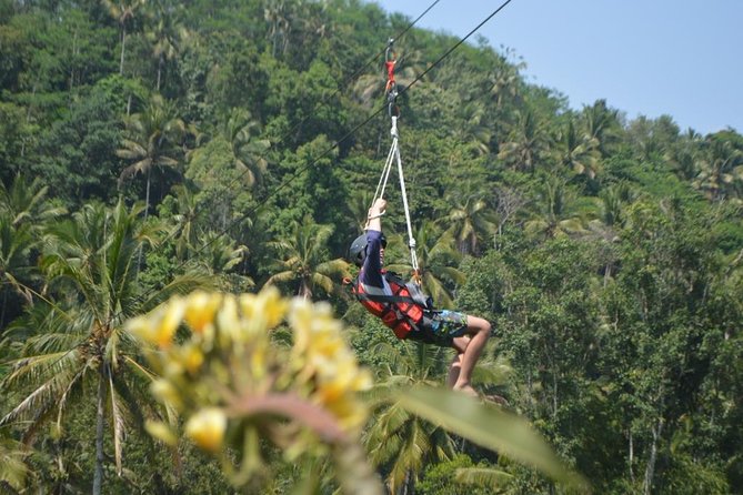 Bali Quad Bike ATV with Flying Fox - Price and Value: Does $80 Buy Real Experiences in Bali?