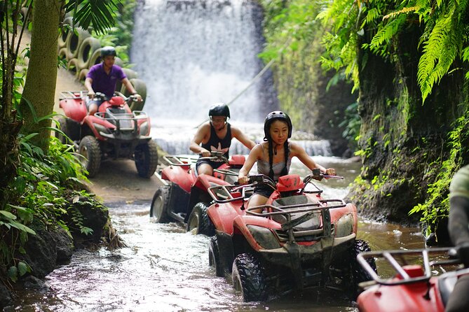 Bali Quad Bike Through Gorilla Cave - Monkey Forest and Waterfall - Why this Ubud quad-bike day feels different than a standard tour