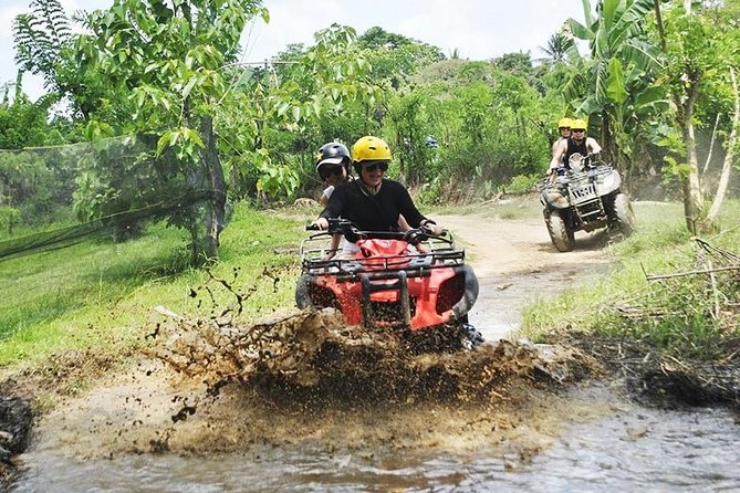 Bali Quad Bike Through Gorilla Cave - Monkey Forest and Waterfall - Culture you can actually hear: your guide’s local context