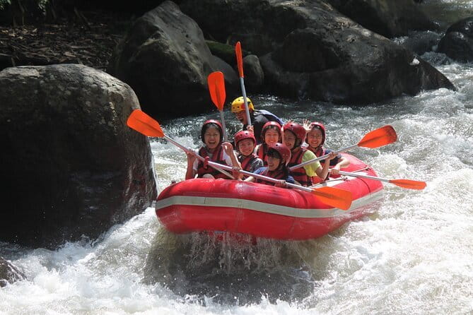 Bali Rafting : Bali Family Rafting in Ubud and Ubud Private Tour - The private-car advantage in Ubud traffic and timing