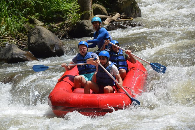 Bali Rafting - Ubud River Rafting With Lunch - What the Ayung Rapids Deliver: Grade II–III With Purpose