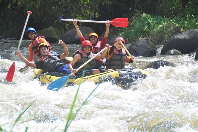 Bali Rafting - Ubud River Rafting With Lunch - Pickup, Mobile Tickets, and the Logistics That Save Your Energy