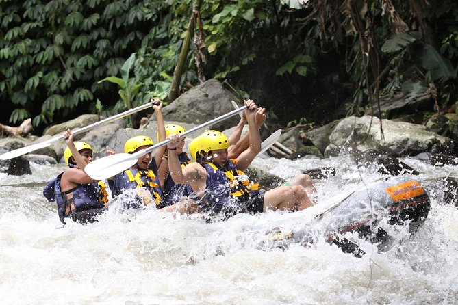Bali Rafting Ubud with Lunch - On the water: paddling past rice, forest, and waterfalls