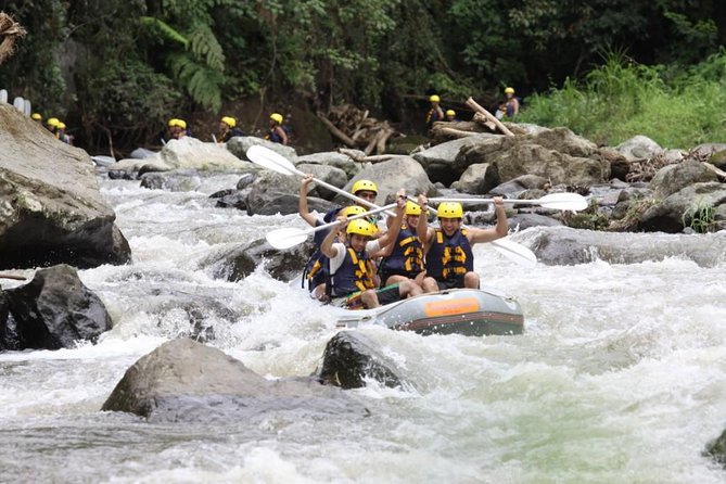 Bali Rafting Ubud with Lunch - The lunch: Indonesian buffet with rice-terrace views