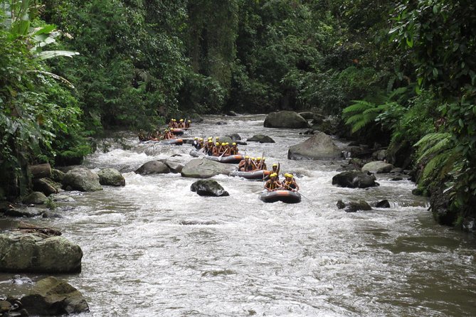 Bali Rafting Ubud with Lunch - Door-to-door transfers, mobile tickets, and small groups