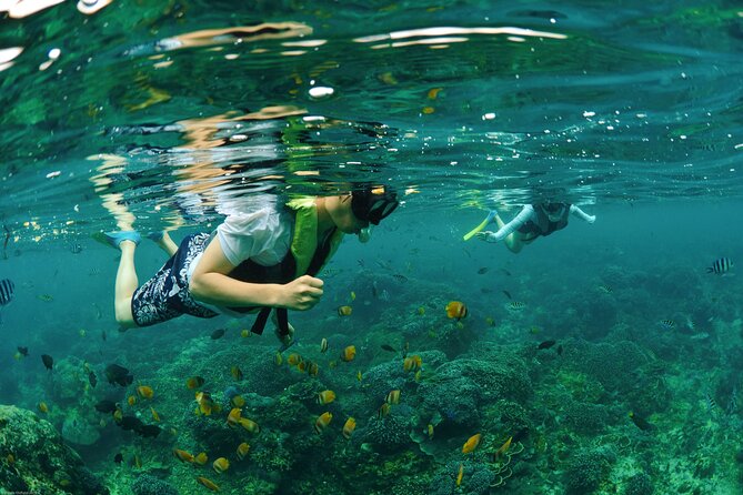Bali Reef Cruise and Lembongan Island Day Trip - Snorkeling and semi-submersible coral viewing: what you should realistically expect