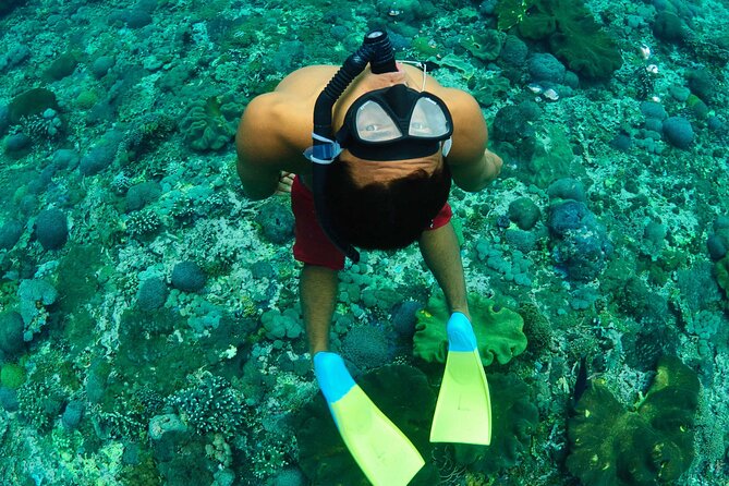 Bali Reef Cruise and Lembongan Island Day Trip - The private reef pontoon: built for jumping in fast