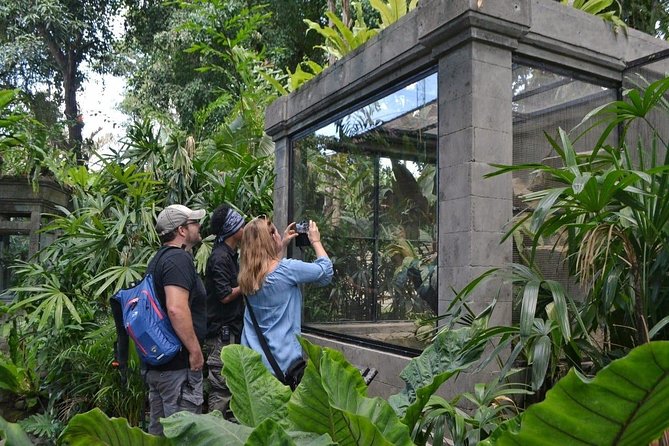 Bali Reptile Park Entrance Ticket - What you’ll see on the grounds: 150+ species and the pacing that helps