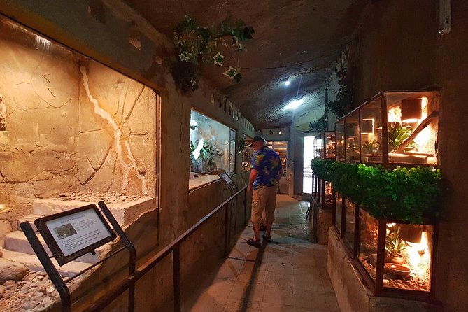 Bali Reptile Park Entrance Ticket - The guides (like Widya and Rama) and why staff talk matters