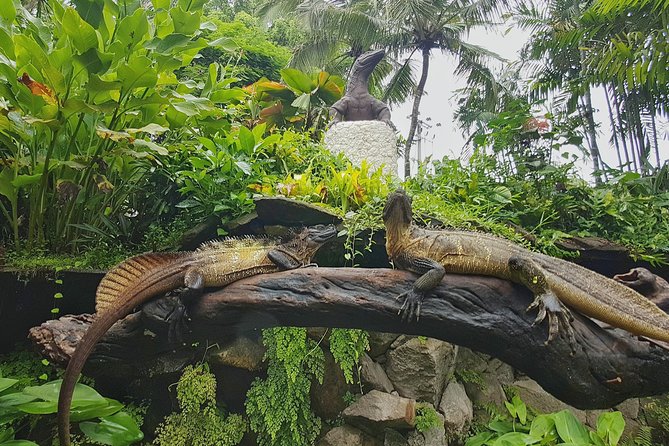 Bali Reptile Park Entrance Ticket - Don’t miss the highlights: crocodile feeding and the iguana setup