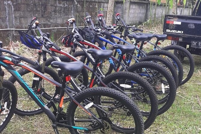 Bali Rural Village Bike - Traditional compound and architecture stop: seeing how people live