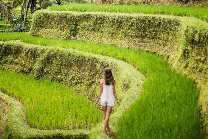 Bali Rural Village Bike - Rice paddies and village roads: the ride you’re actually there for