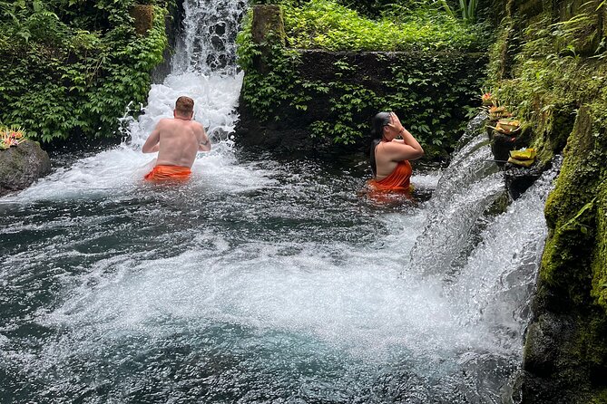 Bali Samanic Healing Purification Natural - Key points at a glance