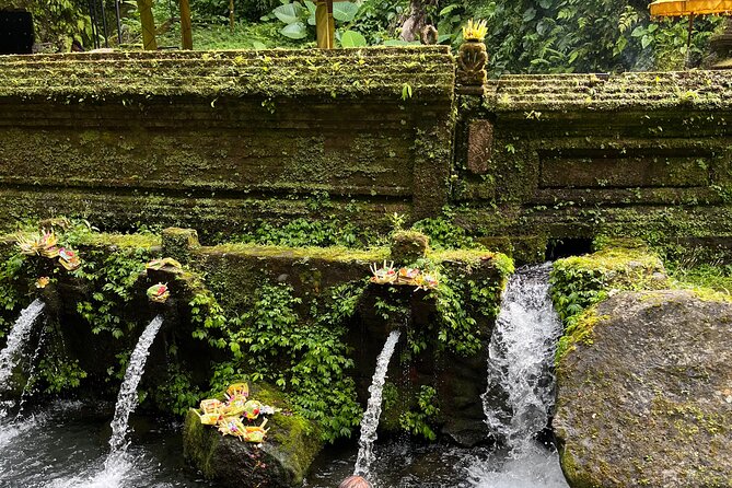 Bali Samanic Healing Purification Natural - Who This Is Best For (And Who Should Skip It)