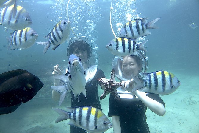 Bali Seawalker - The 1.5-hour rhythm: pickup, fitting, underwater time, back to the hotel