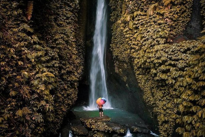 Bali Secret Waterfall Tour - Private and All-Inclusive - Ubud Drives, Monkey Forest, and Other Route Passes That Add Value