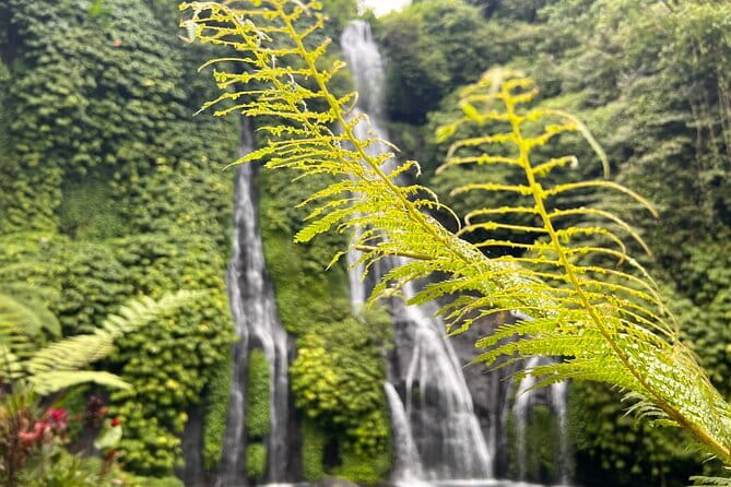 Bali Secret Waterfalls: Banyumala & Leke Leke Waterfalls - Price and logistics: what $55 really buys you
