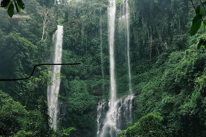 Bali Sekumpul with Fiji Waterfall & Bedugul Temple (Private Tour) - The Scenic Drive North: Where the Day Starts to Feel Special