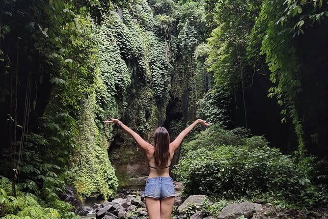 Bali Sekumpul with Fiji Waterfall & Bedugul Temple (Private Tour) - What Makes This Tour Feel Better Than DIY
