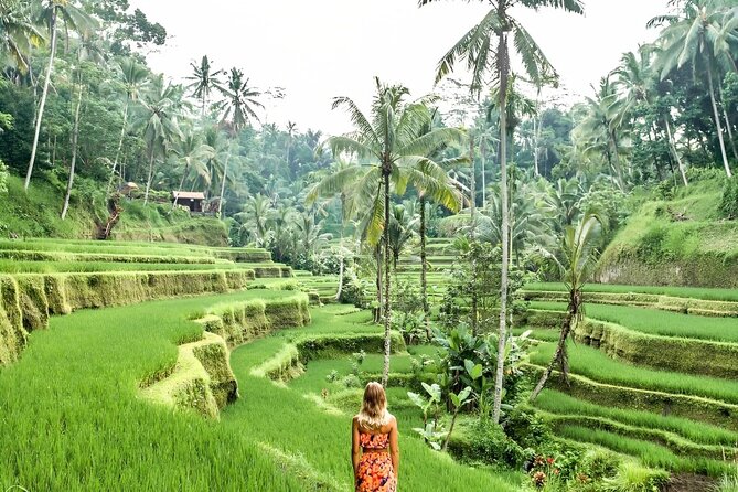 Bali Shore Excursions : Best of Bali Tour - Tegenungan Waterfall: a nature stop built for photos and pauses