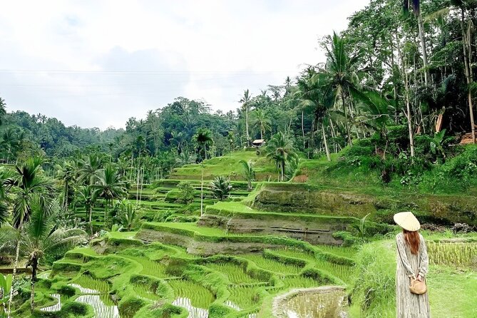 Bali Shore Excursions : Best of Bali Tour - How the rest of the Ubud time usually feels
