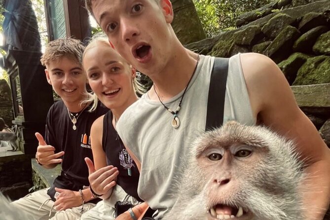 Bali Sightseeing - Sacred Monkey Forest Sanctuary: 1,260 Long-Tailed Macaques Up Close