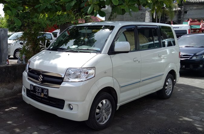 Bali Sightseeing Car Hire with English-speaking Guide and Driver - How to choose your Bali highlights: Ubud vs. Bedugul