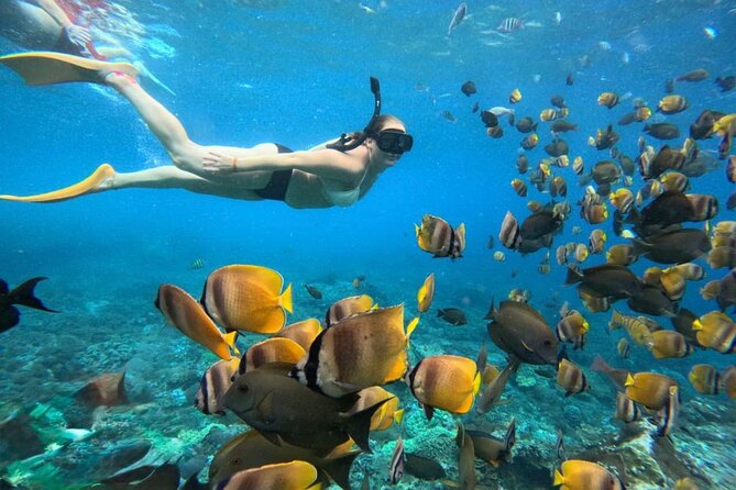 Bali Snorkeling 2 Spot at Blue Lagoon with Lunch & Transport - Key highlights you’ll actually feel on the day