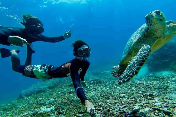 Bali Snorkeling 2 Spot at Blue Lagoon with Lunch & Transport - A 6-hour day: how transport and route stops shape your experience