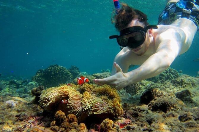 Bali Snorkeling 2 Spot at Blue Lagoon with Lunch & Transport - Price, value, and who this private snorkeling trip suits best
