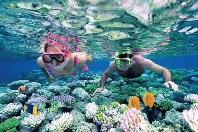 Bali Snorkeling at Blue Lagoon and Tanjung Jepun with Transfer - Key highlights from this snorkeling day