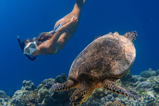 Bali Snorkeling at Blue Lagoon and Tanjung Jepun with Transfer - Guides, instructors, and why the human factor shows up in reviews