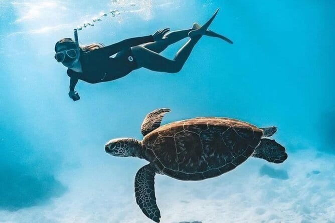 Bali Snorkeling at Blue Lagoon and Tanjung Jepun with Transfer - Ubud-to-Padangbai transfers: what the 6-hour timing really means