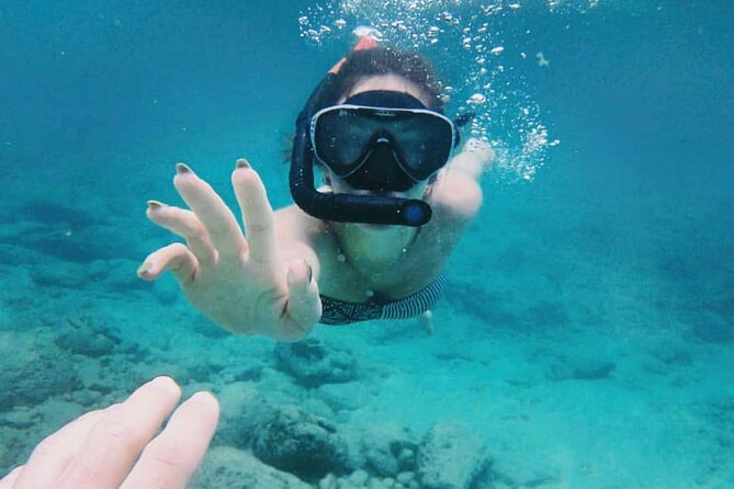 Bali Snorkeling at Blue Lagoon with Transport and Lunch - Who this tour fits best (and who should think twice)