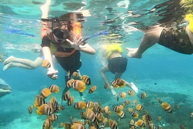 Bali Snorkeling Tour At Blue Lagoon with Gate of Heaven Temple - Who this tour is best for—and who should reconsider