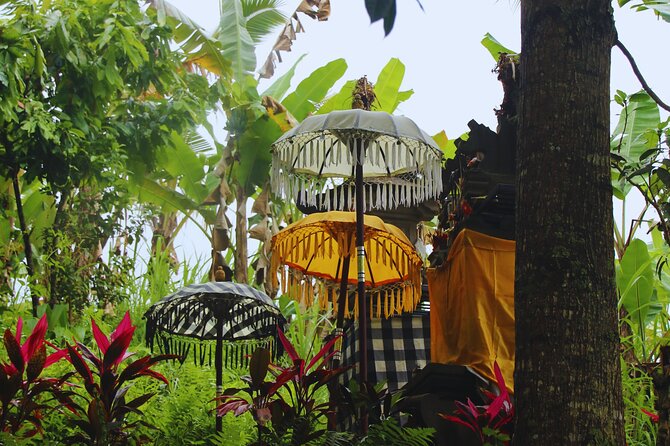 Bali Spiritual: Blessing Ceremony, Pristine Nature and Transfer - Key Highlights You’ll Care About