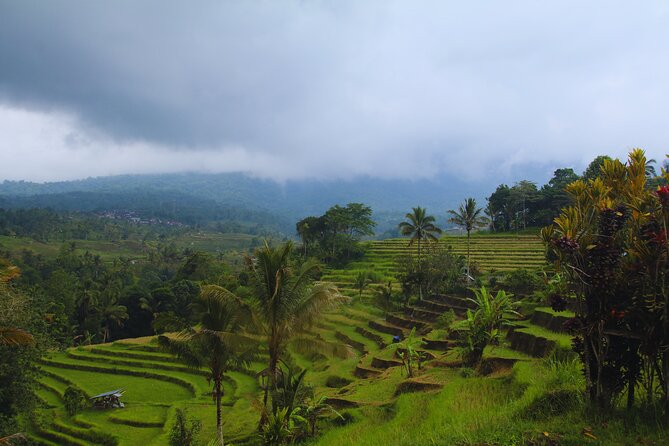 Bali Spiritual: Blessing Ceremony, Pristine Nature and Transfer - Price and Value: Why $115 Can Make Sense Here