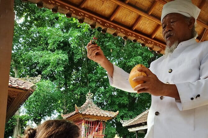 Bali Spiritual Shamanic-Palm Reading, Temple Healing Tour - Key highlights worth planning around