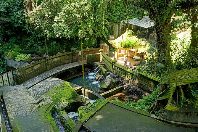 Bali Spiritual Soul Retreat Cleansing and Mantra Healing - Transportation and comfort: what to plan for during a Ubud half-day