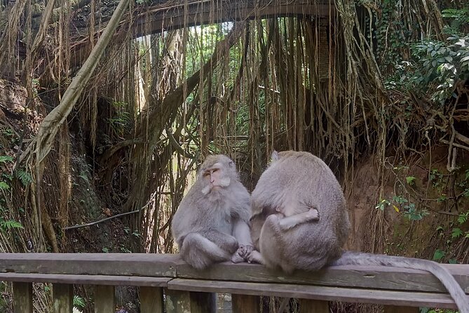Bali Sunrise Horse Riding and Tour - Optional Monkey Forest, Tirta Empul, or Tubing: Build Your Own Bali Blend