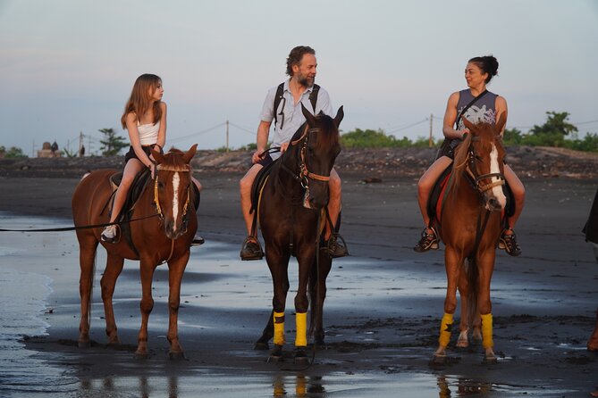 Bali Sunrise Horse Riding and Tour - Price and Value: Why $89 Can Make Sense Here