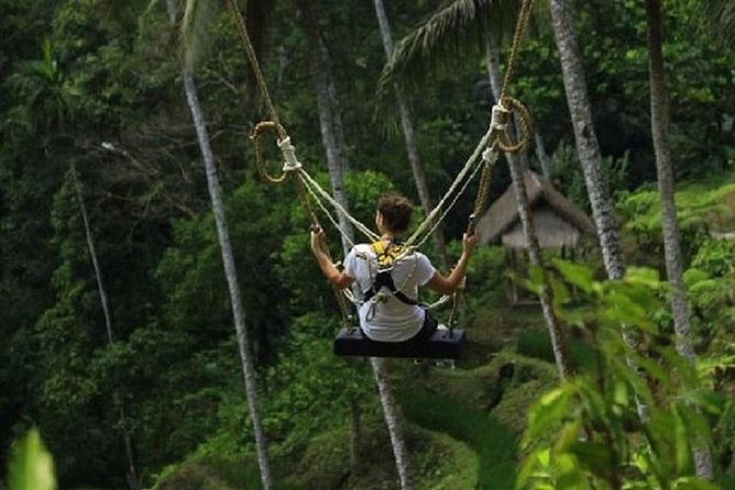 Bali Swing Heaven and White Water Rafting with All Inclusive - How the day feels: group size, comfort, and pace