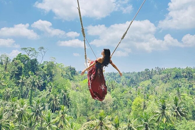 Bali Swing, Monkey Forest and Waterfall Private Tour - Key Things You’ll Love About This Tour