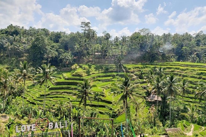 Bali Swing Ubud Private Day Tour - Monkey Forest Sanctuary: the 12-hectare walk and macaque rules