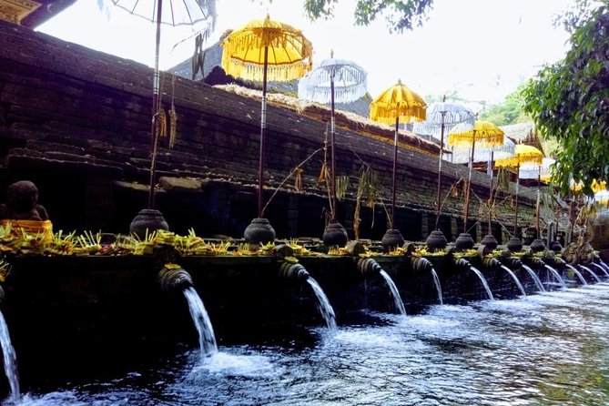 Bali Swing Ubud Private Day Tour - Segara Windhu coffee plantation: what you actually do there