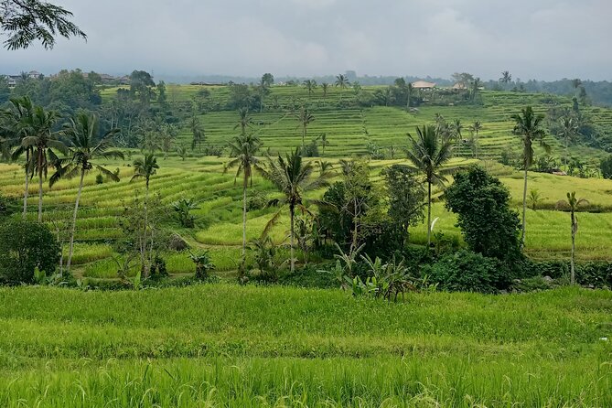 Bali Tanah Lot, Ulun Danu Beratan & Jatiluwih Rice Terrace - The Ubud-to-temples plan: private comfort, real time in each place